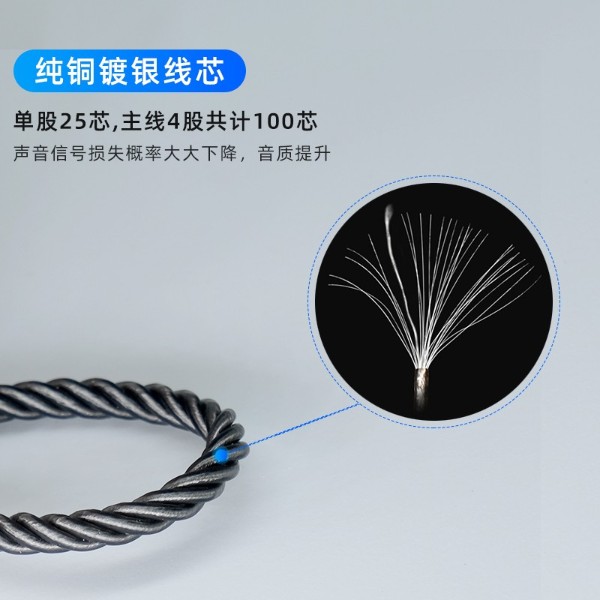 Type-C渡銀線